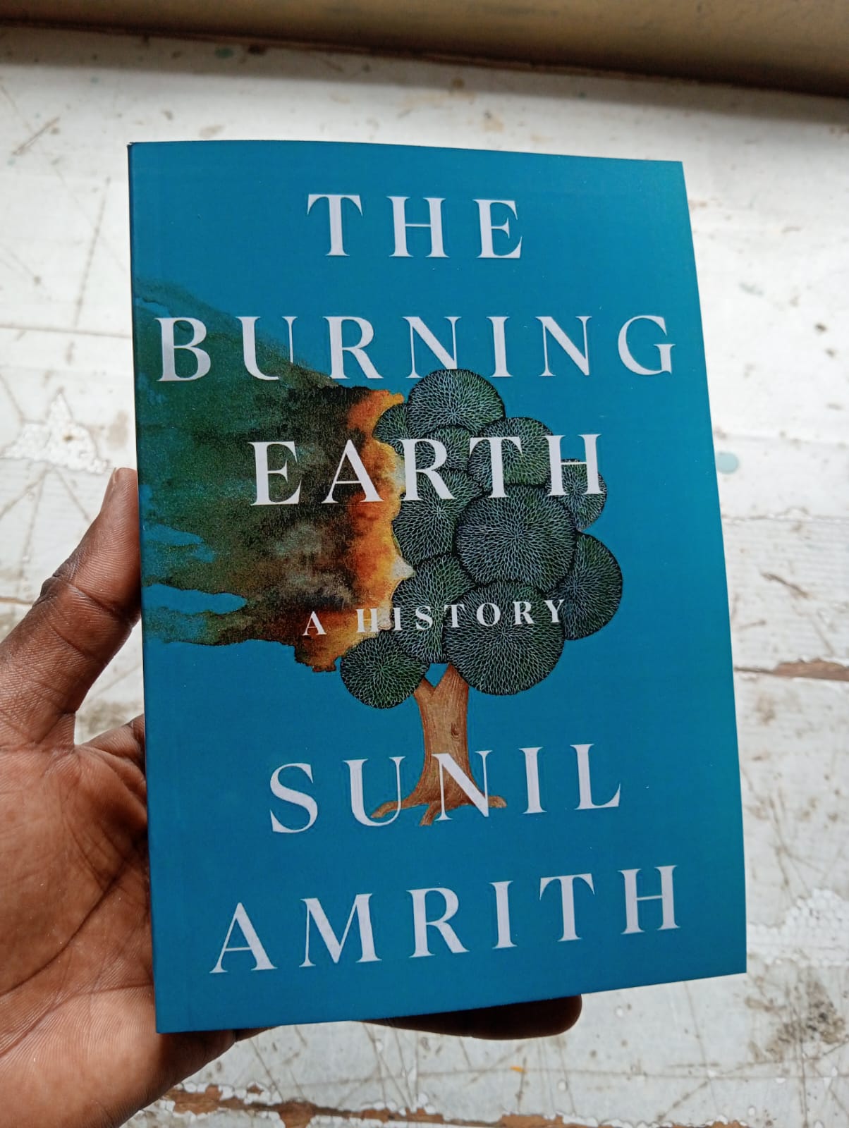 The Burning Earth Book By Sunil Amrith