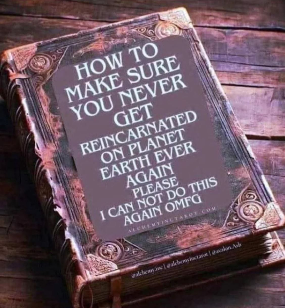 How to Make Sure You Never Get Reincarnated on Planet Earth Ever Again By Ronel Holtz