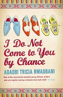 I Do Not Come to You by Chance Book by Adaobi Tricia Nwaubani