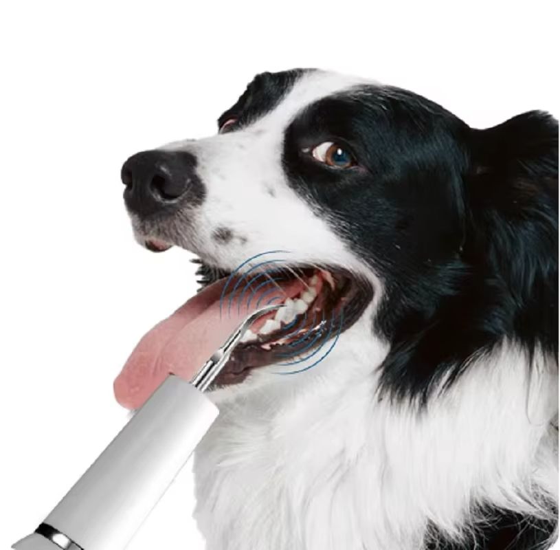 Ultrasonic Dental Cleaner for Pets Dental Calculus Remover for Dog Oral Cleaning Tools for Cats and Dogs To Remove Tooth Stains