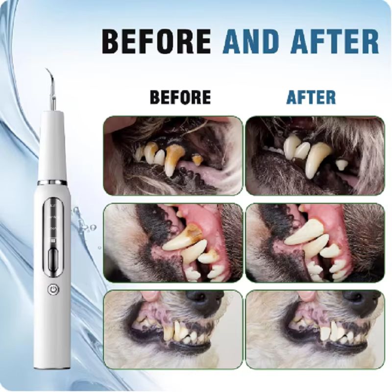 Ultrasonic Dental Cleaner for Pets Dental Calculus Remover for Dog Oral Cleaning Tools for Cats and Dogs To Remove Tooth Stains