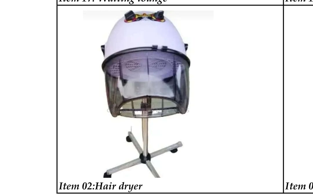 HAIR DRYER. Saloon hair dryer Equator, Powerful 2000 Watts for Efficient Drying, Long Adjustable Stand for Convenient Styling, Movable Stand Base with Wheels for Easy Maneuverability