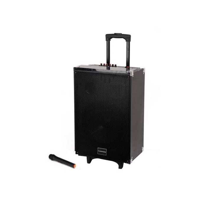 TAGWOOD 10A Outdoor Speaker, Bluetooth Microphone, Battery