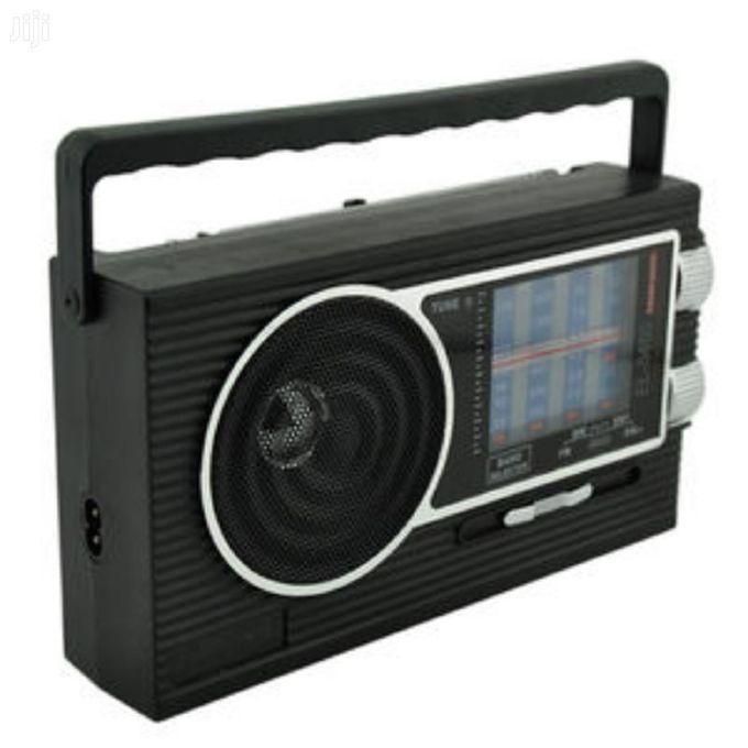 Caston ST 5400 Portable Digital Multi-Frequency Radio-AC/DC