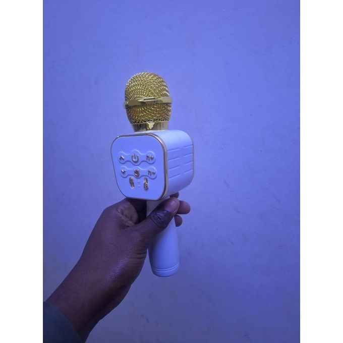 Karaoke Microphone with speaker and LED light