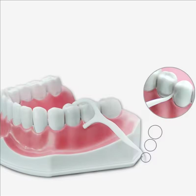 50pcs Dental Floss Flosser Picks Teeth Toothpicks Stick Tooth Clean Oral Care 7.5cm Dental Cleaning Toothpicks Floss Picks