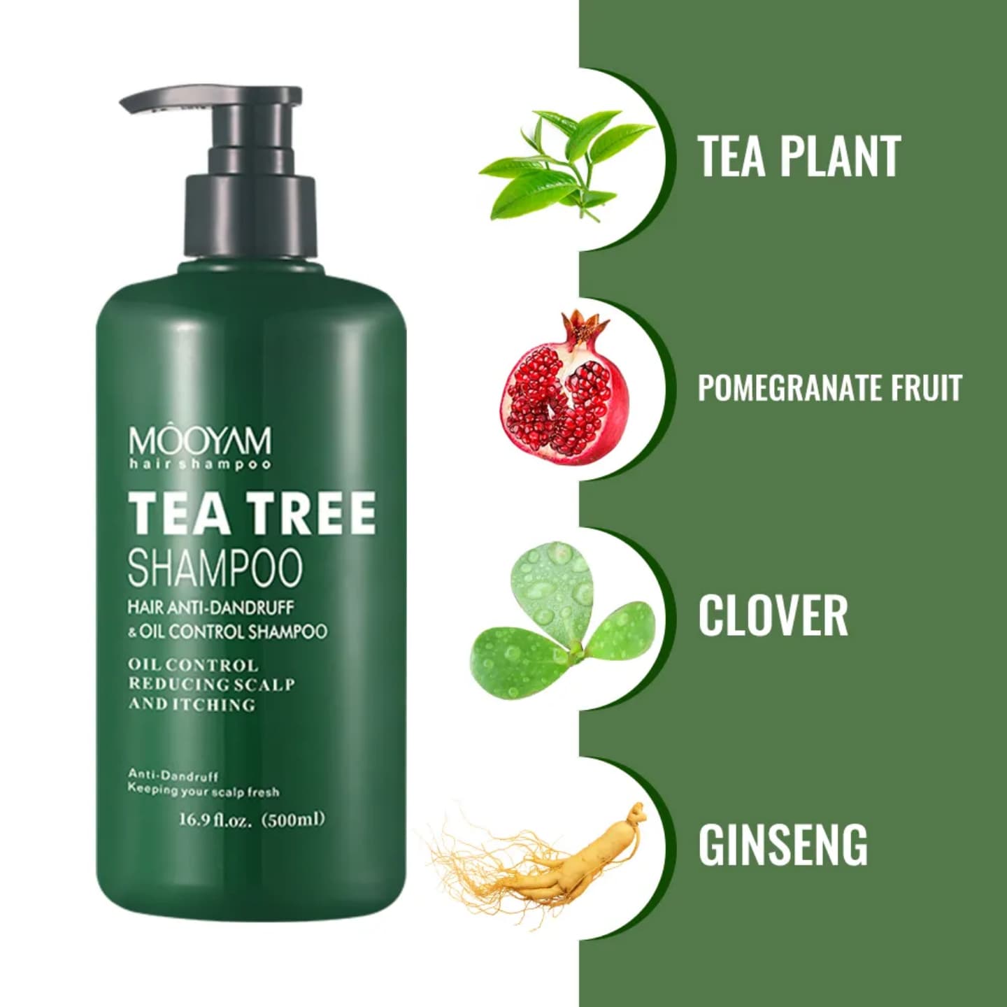 New arrivals Tea tree hair shampoo 2 types cleanse and refresh the scalp, combat dandruff and fungal infections, and promote healthier hair growth. It also helps to reduce scalp irritation and itching