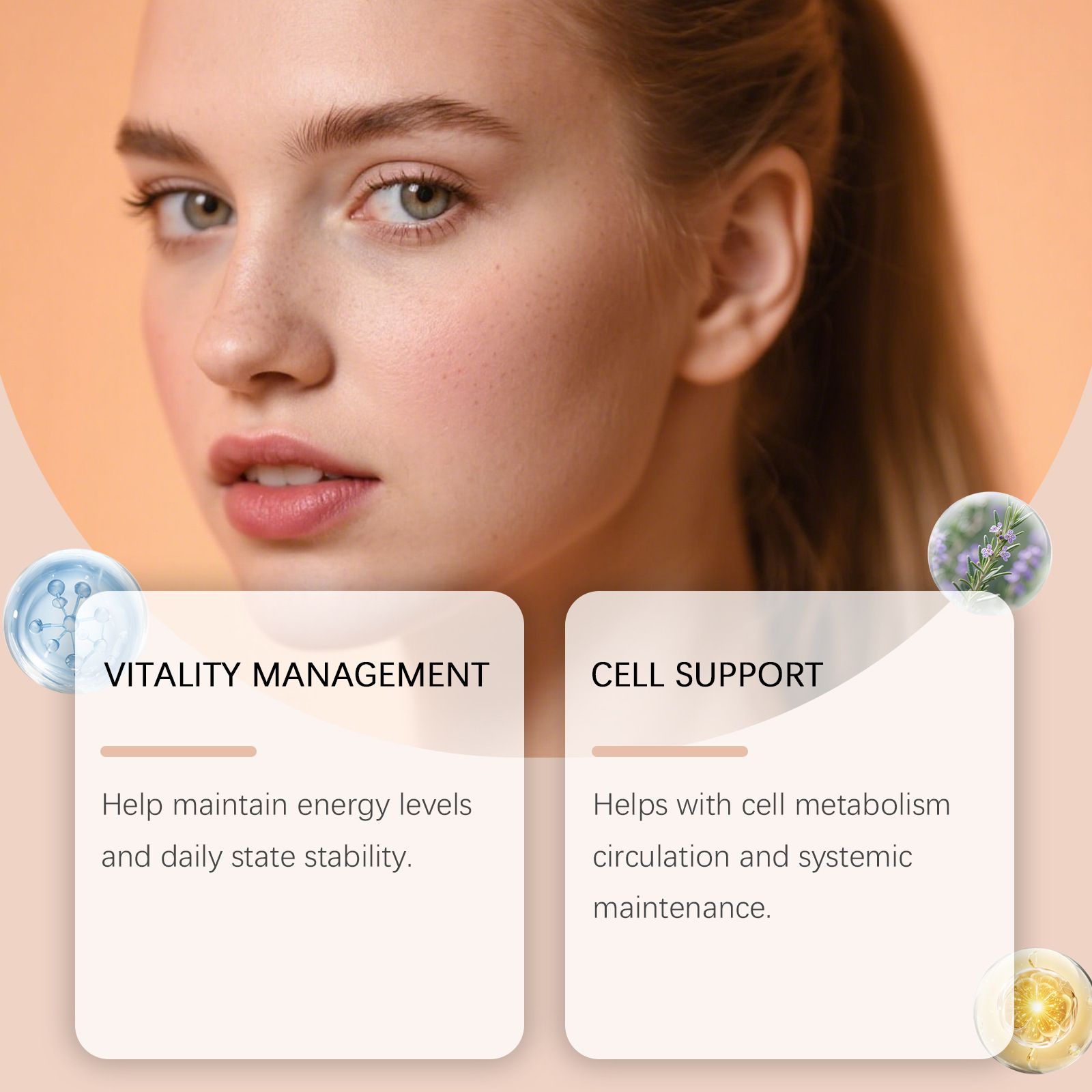 [OFFER] Bushaid Age Reverse (60 Caps) – NR 300mg + PQQ 10mg Cellular Vitality – Anti-Aging, Mitochondrial Energy & Brain Health Booster