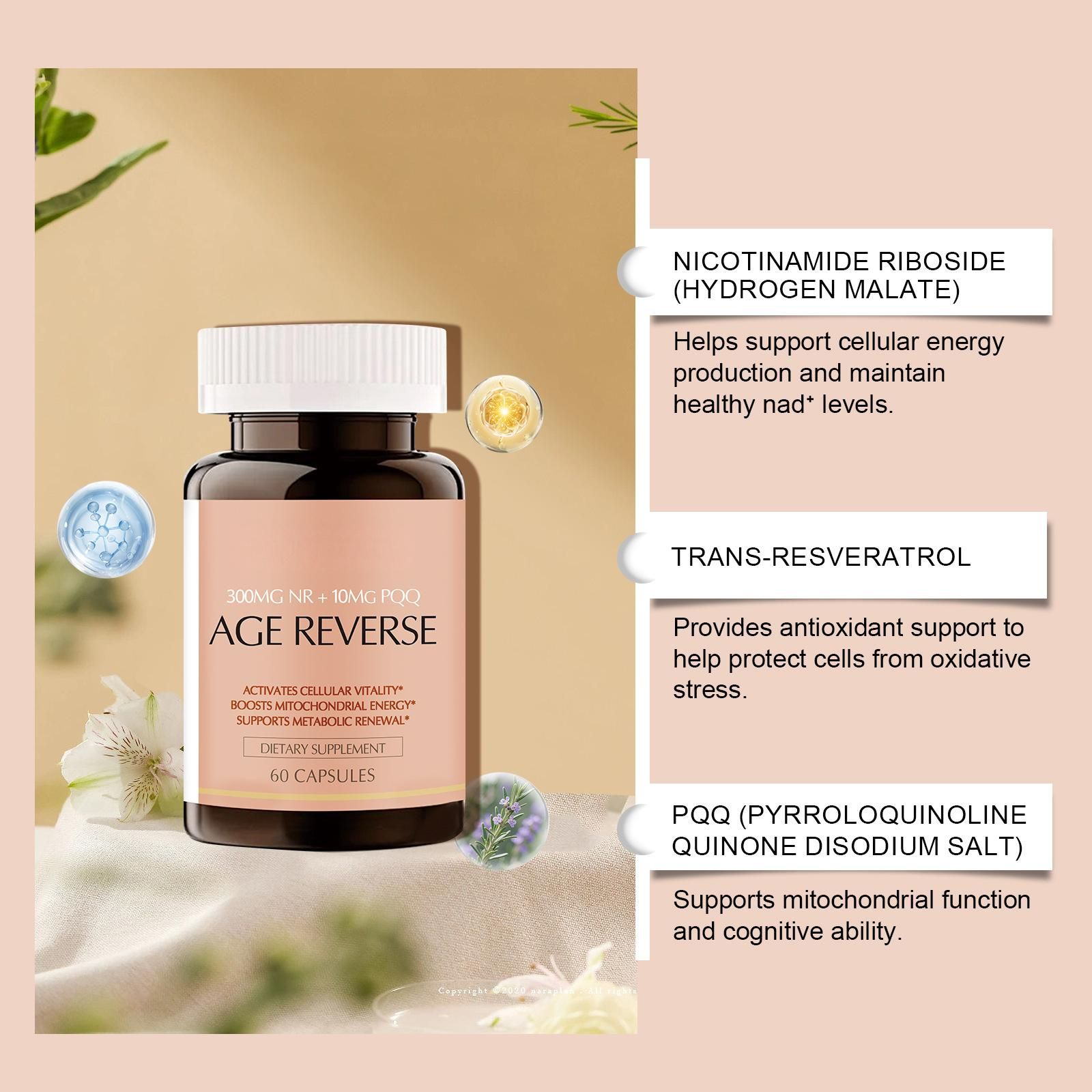 [OFFER] Bushaid Age Reverse (60 Caps) – NR 300mg + PQQ 10mg Cellular Vitality – Anti-Aging, Mitochondrial Energy & Brain Health Booster