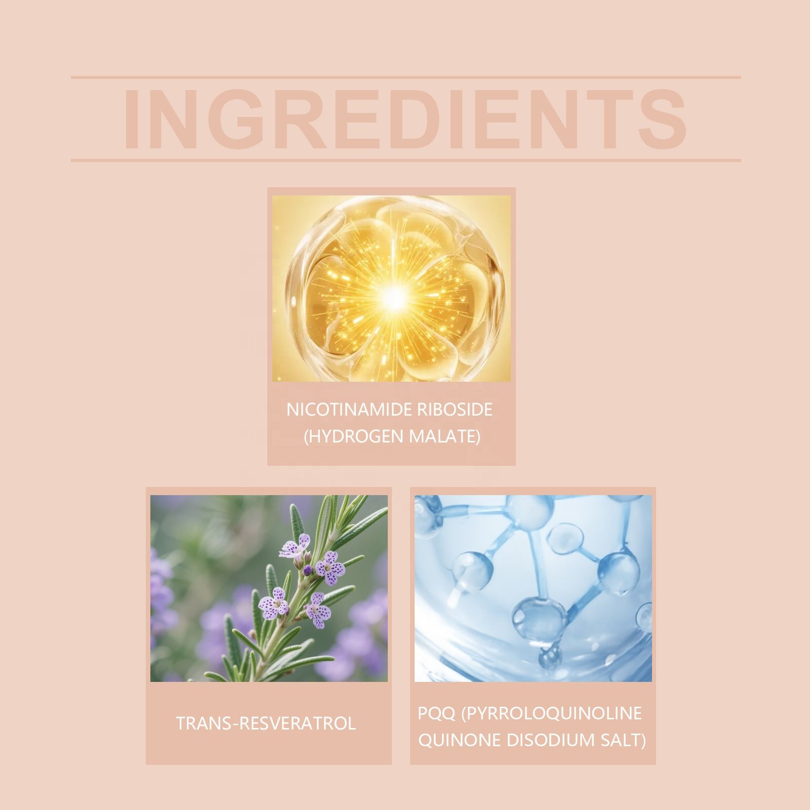 [OFFER] Bushaid Age Reverse (60 Caps) – NR 300mg + PQQ 10mg Cellular Vitality – Anti-Aging, Mitochondrial Energy & Brain Health Booster