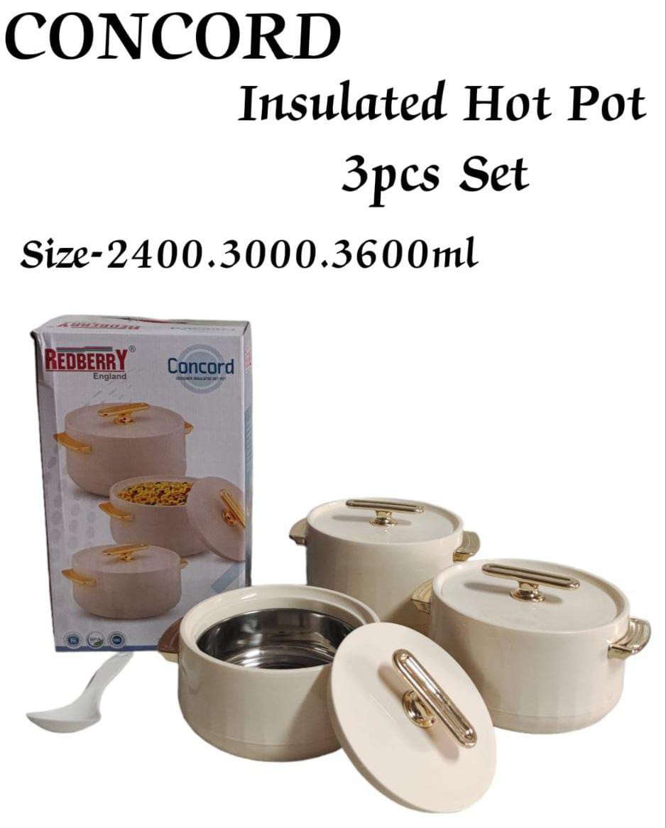 Set of 4pcs unique and classy high quality insulated concord family hotpots for hot and fresh meals