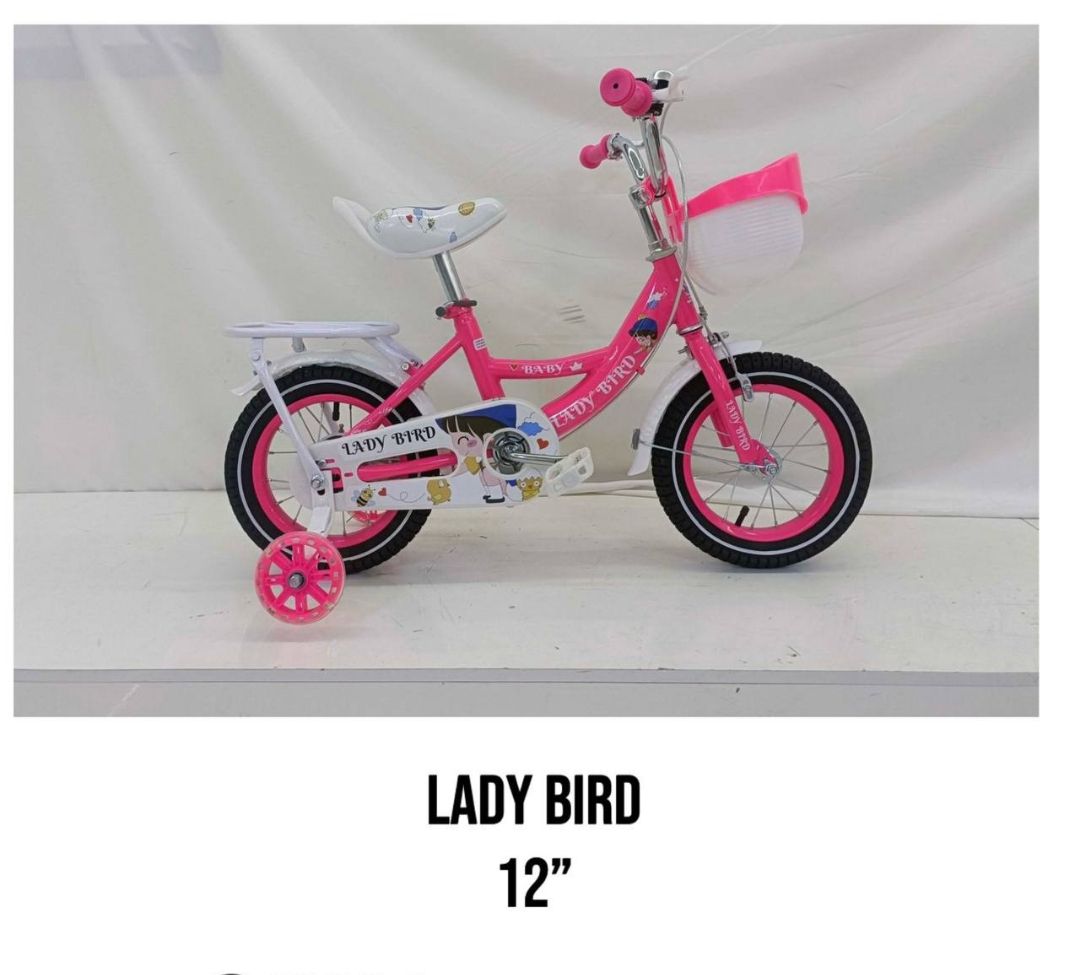 Lady bird beautiful girls riding bicycle with trainer wheels Size 16