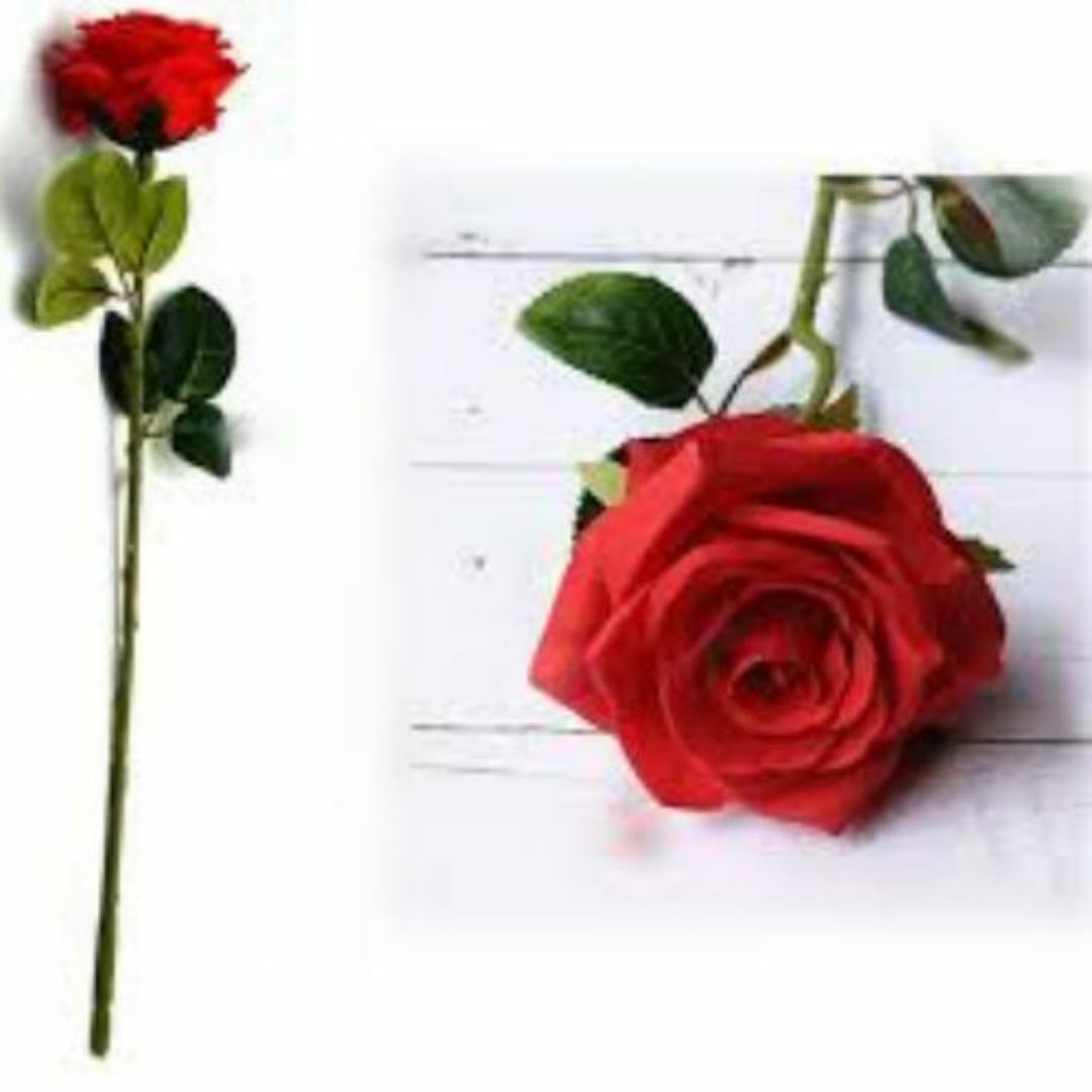 1PC VALENTINE FLOWER GIFT ARTIFICIAL RED ROSE FLOWER FOR MEN WOMEN - LATEX (REALISTIC LOOK, TOUCH AND FEEL)