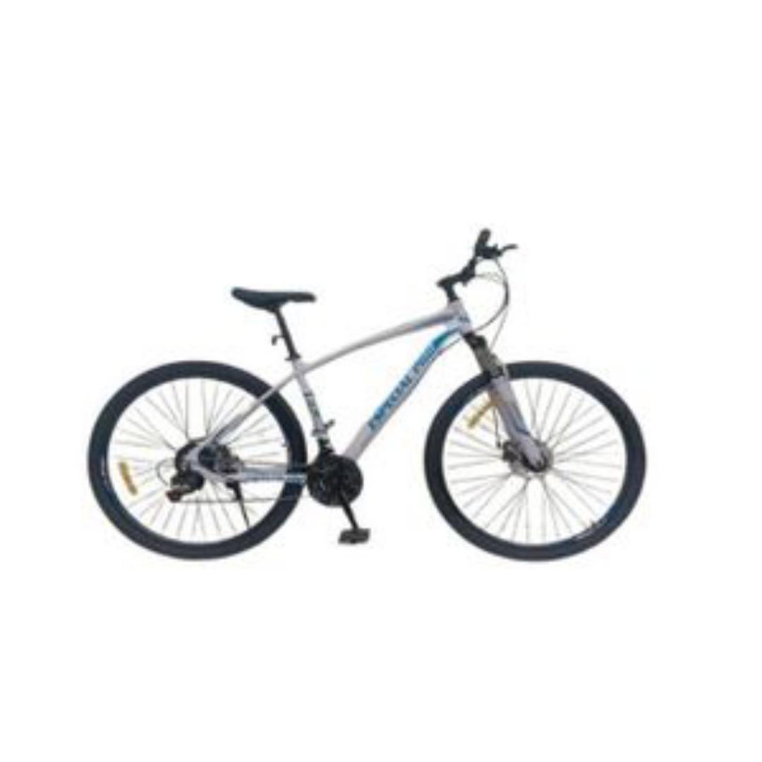 SIZE 29 ADJUSTABLE 21 SPEED DISC BRAKES MOUNTAIN BIKE WITH GEARS RACING BIKE ADULT BIKE SPORT BIKE