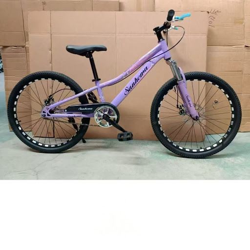 Sanhema 24-Inch Mountain Bike – Stylish Purple Performance