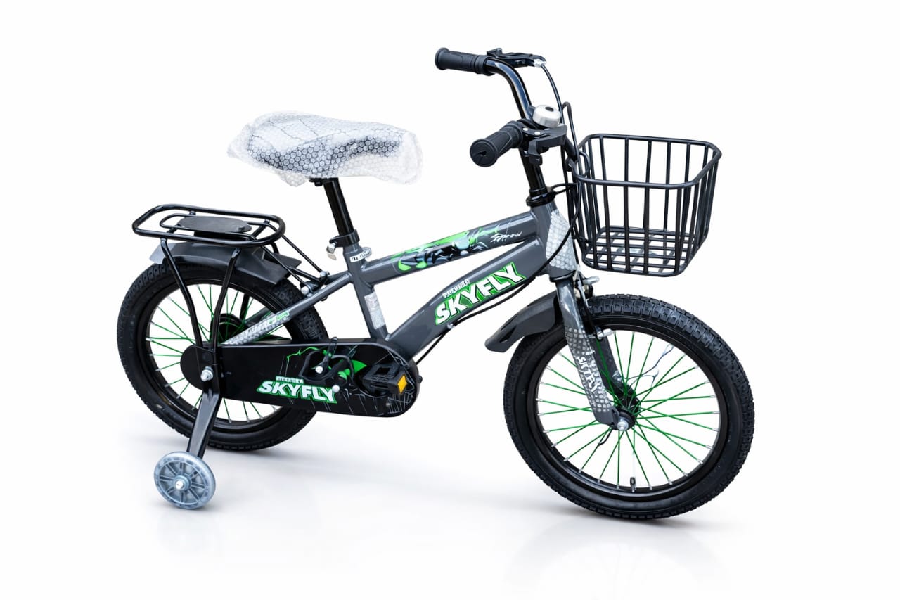 Skyfly 16-Inch Kids' Bicycle – Vibrant & Durable