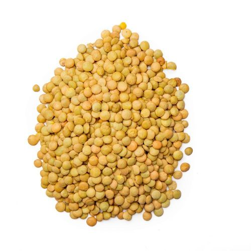 Premium Dried Kamande Or Masoor Or Lentils 1Kg 2Kg 3Kg 5Kg