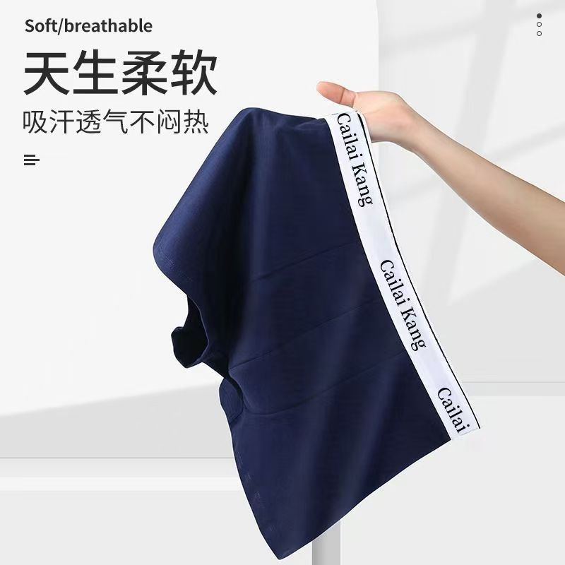 （4 packs） Men's Panties Cotton Thermal for Man Breathable Homme Sexy Soft Male Shorts Boxers