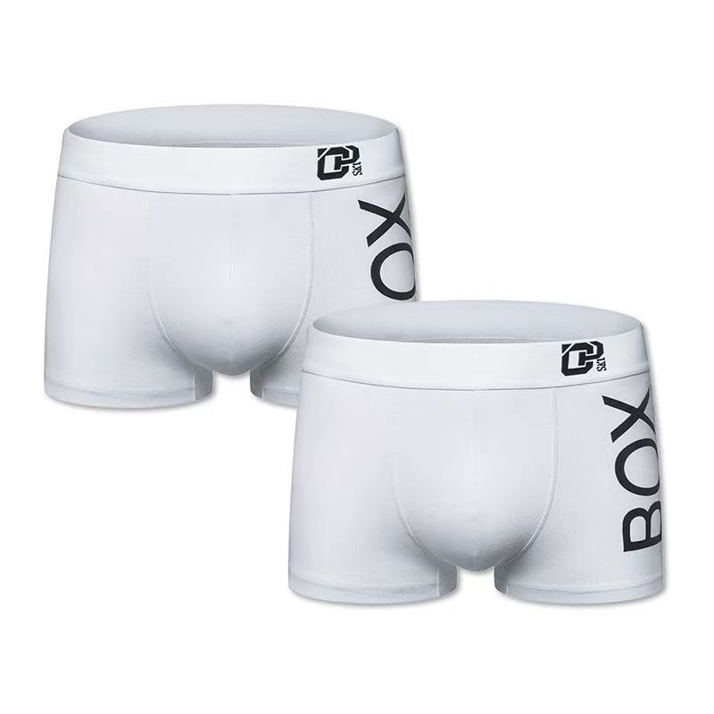2-piece set Sexy Underwear Men Boxer Male Panties Cotton Soft Fashion Men Under Wear Lingerie Underpants 3D Pouch Shorts