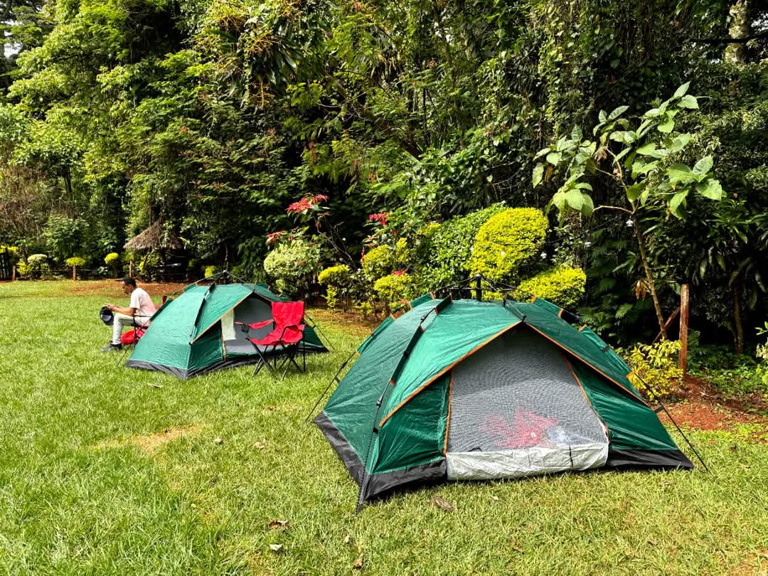 🌈 EVERYDAY SAVINGS OFFER 🌈 1pc Camping Tent for 3–4 People – Spacious Waterproof Outdoor Family Tent, Portable Lightweight Fabric Shelter, Easy Setup, Green