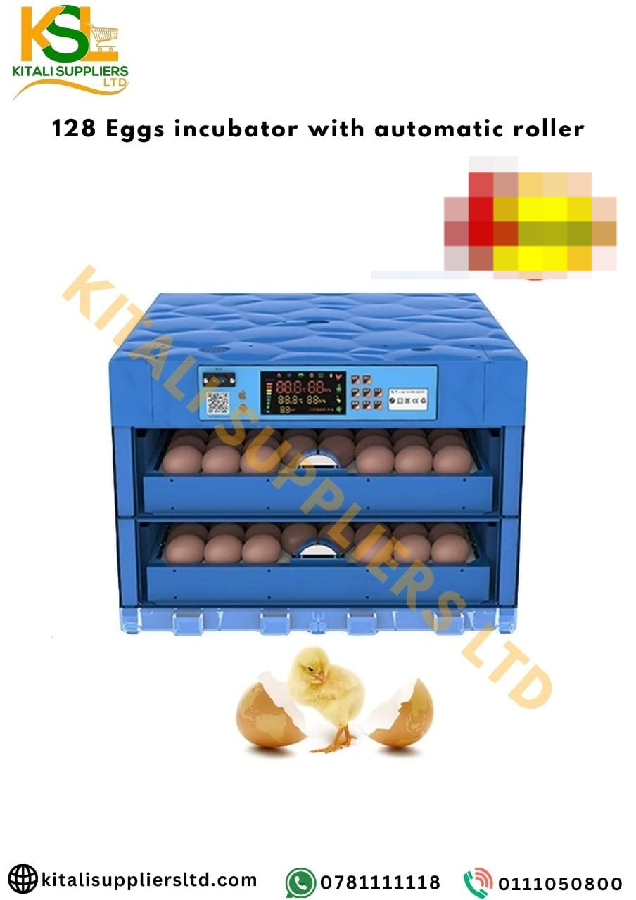 128 Eggs Incubator AC/DC Automatic Egg Incubator with Temperature Control