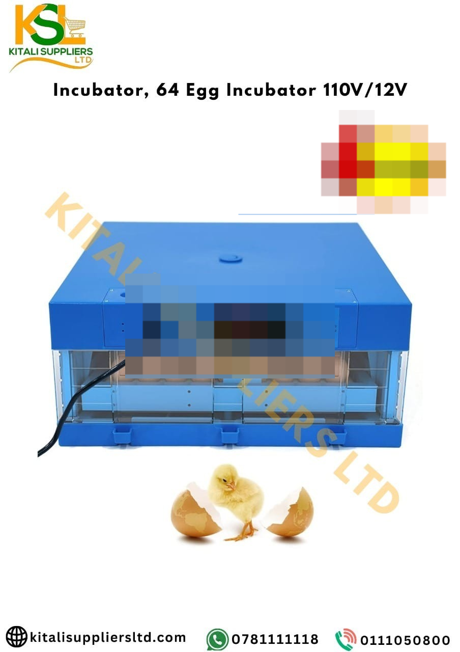 64 Eggs Incubator AC/DC Automatic Poultry Egg Incubator with Digital Control