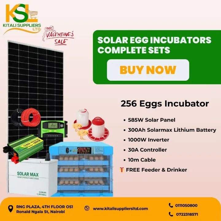 256 Eggs Solar Incubator Kit with 300Ah Lithium Battery, 585W Solar Panel & 1000W Inverter