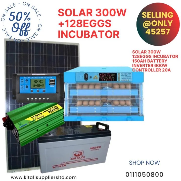 128-Egg Solar Incubator System – 300W Panel, 150Ah Battery, 600W Inverter & 20A Controller