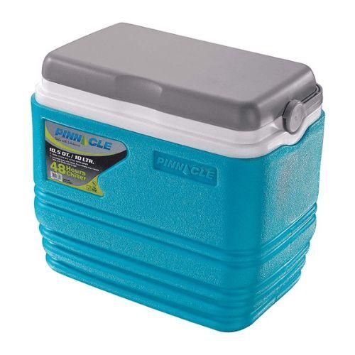 CLEARANCE OFFER  10L Chiller Cool Box Portable For Ice / Medicine / Ice Pop Picnic Travel Hiking 48 Hours Keep Cool