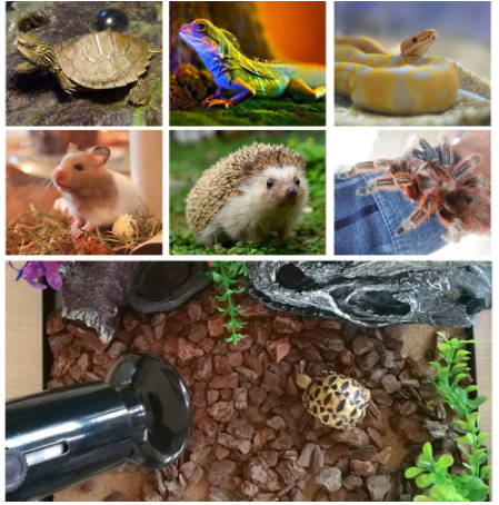 Pet Heating Light Bulb Infrared Black Ceramic Emitter Heat Lamp Bulb For Reptile Animals Heater Brooder ceramic heater