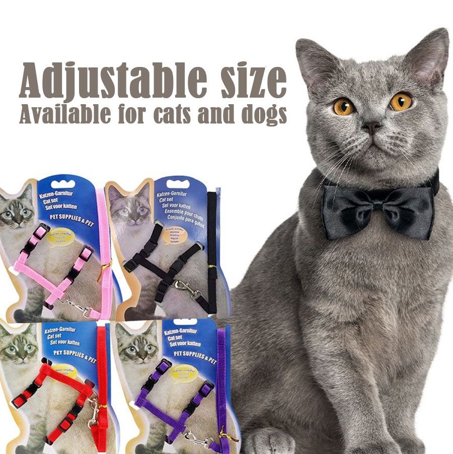 Cat leash, anti-lost, multi-color optional when going out