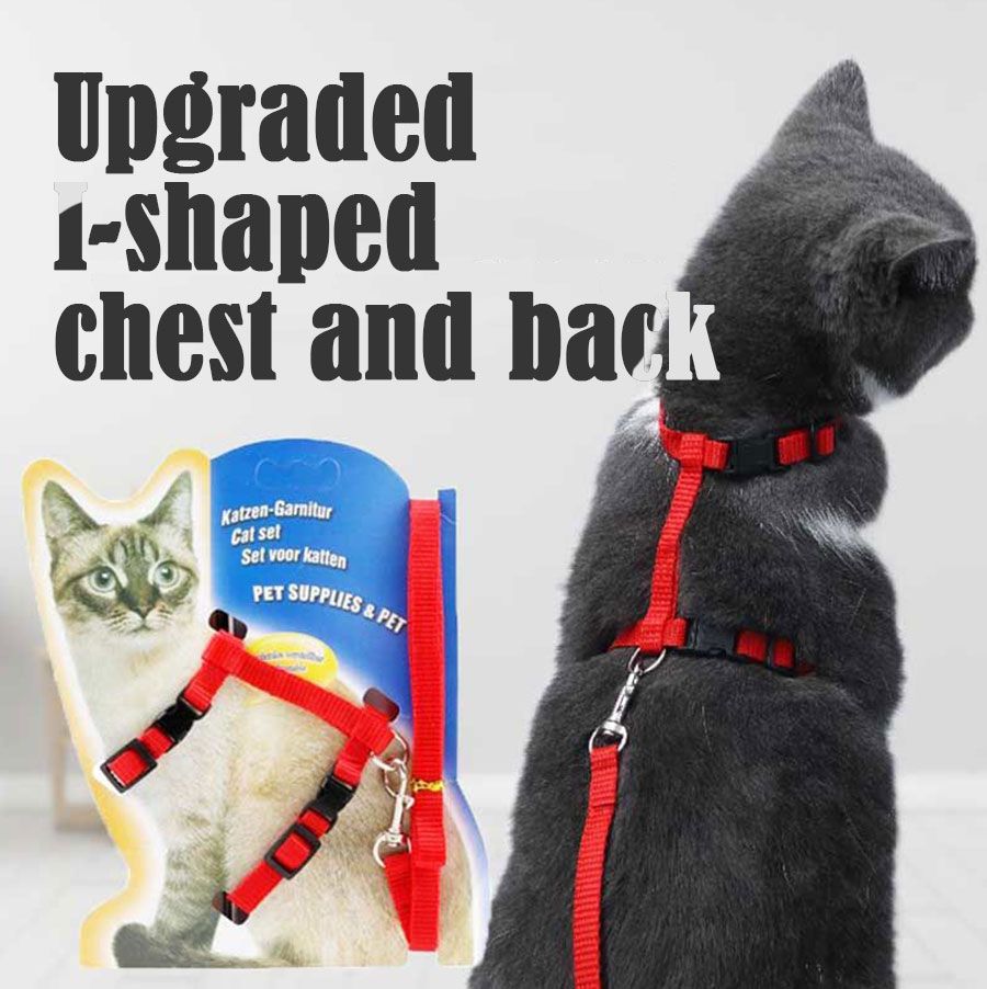 Cat leash, anti-lost, multi-color optional when going out