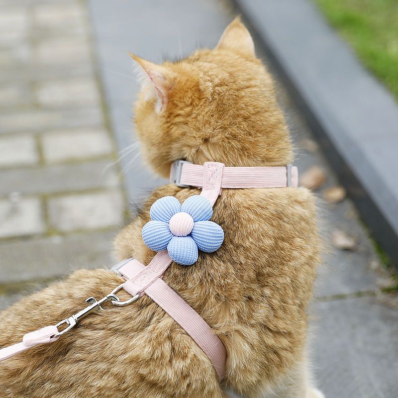 Cat leash, cute flower shape, multi-color optional Small dog leash, pet outing leash