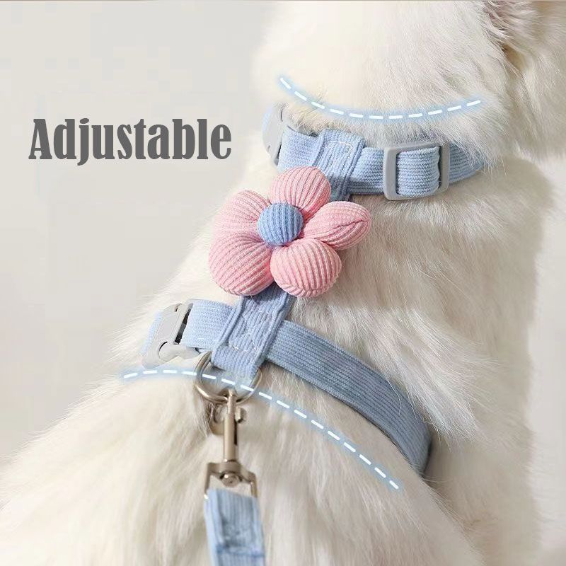 Cat leash, cute flower shape, multi-color optional Small dog leash, pet outing leash