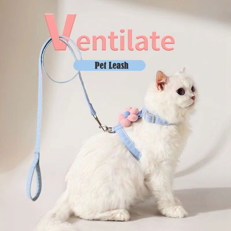 Cat leash, cute flower shape, multi-color optional Small dog leash, pet outing leash