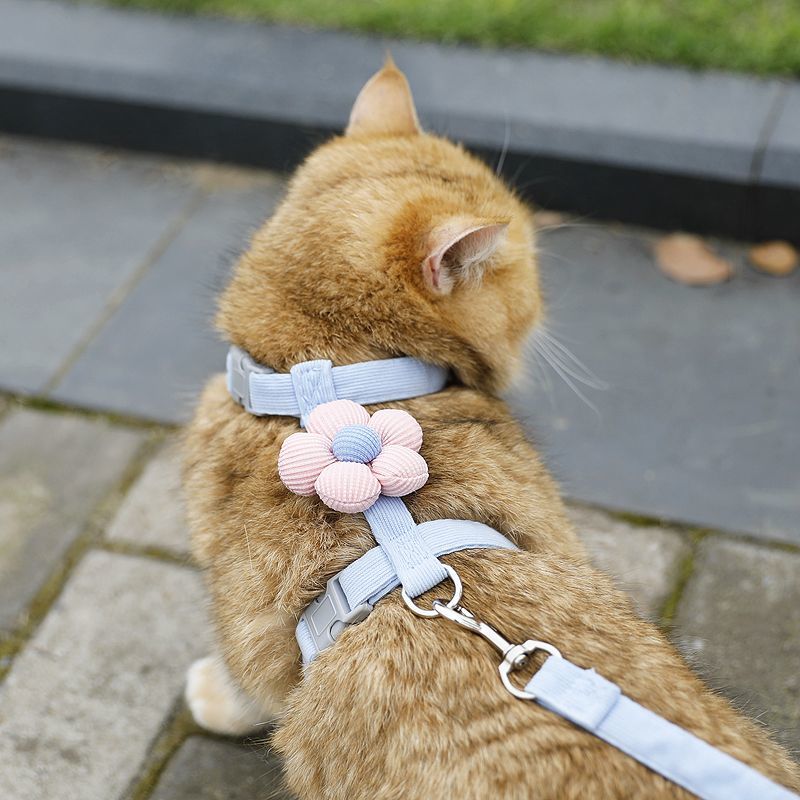 Cat leash, cute flower shape, multi-color optional Small dog leash, pet outing leash