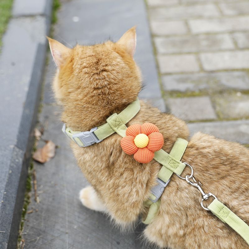Cat leash, cute flower shape, multi-color optional Small dog leash, pet outing leash