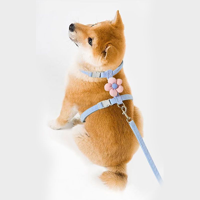 Cat leash, cute flower shape, multi-color optional Small dog leash, pet outing leash