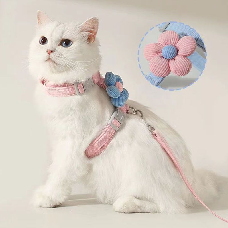 Cat leash, cute flower shape, multi-color optional Small dog leash, pet outing leash