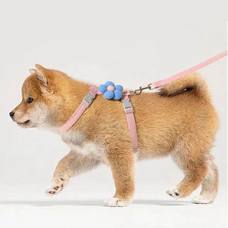 Cat leash, cute flower shape, multi-color optional Small dog leash, pet outing leash