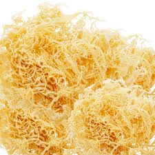 RAW SEA MOSS 100 GRAMS