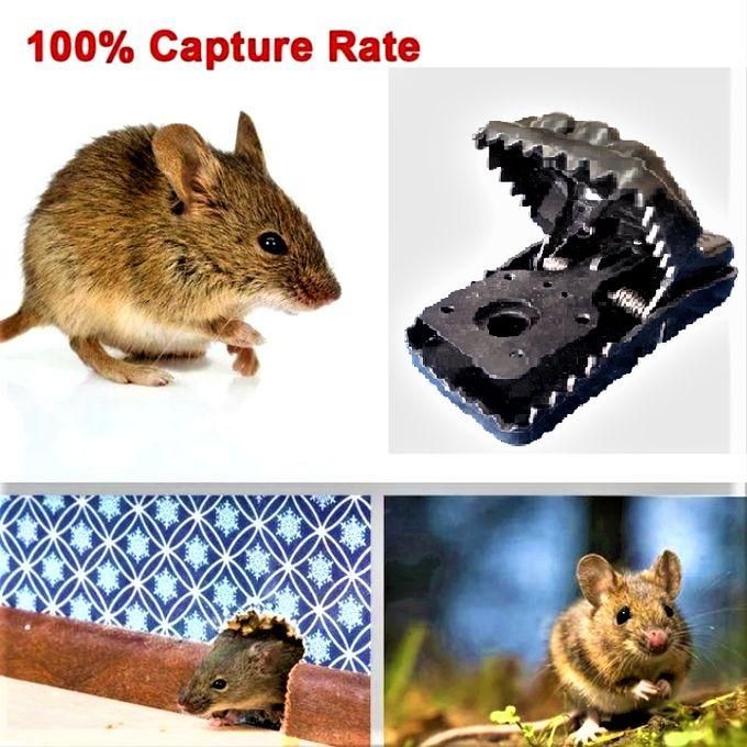 Resuable Heavy Duty Rodent Mouse Rat Trap Killer Tom Cat
