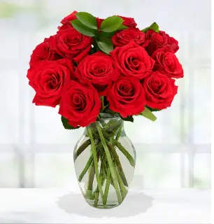 JOINED RED ROSES BOUQUET HOME DECOR (NO VASE)ARTIFICIAL ROSESHOME DECOR/ARTIFICIAL RED ROSES/BLUE ROSES/YELLOW ROSES/WHITE ROSES (WITHOUT VASE/)HOME &LIVING/HOME/HOME DECOR ROSES