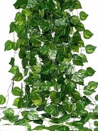 (A SINGLE STRAND)AFFORDABLE HOME DECOR ARTIFICIAL/AESTHETIC IVY GARLAND GRENERY HANGING VINES/LEAVES FOR LIVINGROOM/BEDROOM/BATHROOM DECOR