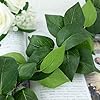 1PC ARTIFICIAL HANGING VINE 🌿 EVER-EASY, FOREVER-FRESH LEAFY LOVE ADDS NATURAL CHARM TO WALLS, SHELVES, OR BALCONIES. NO WATERING—JUST LUSH, GREEN BEAUTY FOR HOME, OFFICE, OR EVENTS ALL YEAR.