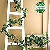 1PC ARTIFICIAL HANGING VINE 🌿 EVER-EASY, FOREVER-FRESH LEAFY LOVE ADDS NATURAL CHARM TO WALLS, SHELVES, OR BALCONIES. NO WATERING—JUST LUSH, GREEN BEAUTY FOR HOME, OFFICE, OR EVENTS ALL YEAR.