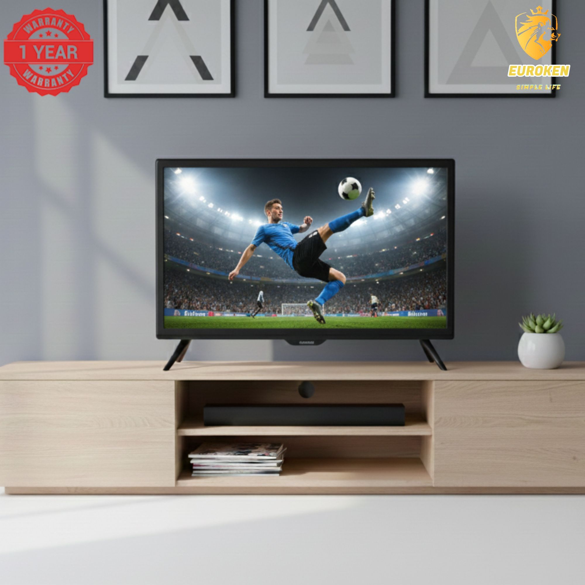 【Limited Offer】 EUROKEN  EK-26LC24T2 24" INCH FULL SCREEN DISPLAY TELEVISION AC/DC DIGITAL LED TV WITH INBUILT DECODER FOR LOCAL CHANNELS WIDE COLOR ENHANCER, USB HDMI PORTS