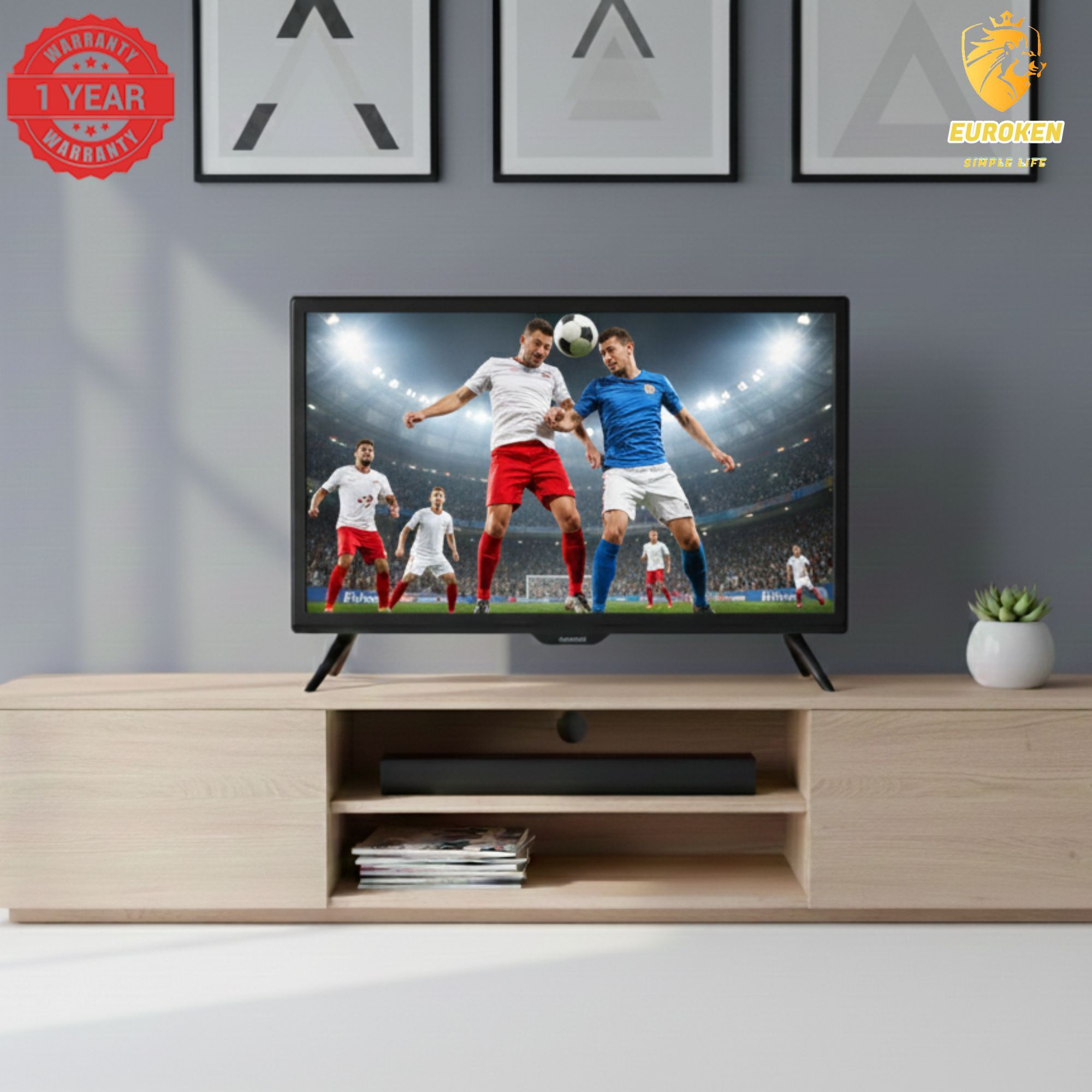 【Limited Offer】 EUROKEN  HS-26LC24T2 24" INCH FULL SCREEN DISPLAY TELEVISION AC/DC DIGITAL LED TV WITH INBUILT DECODER FOR LOCAL CHANNELS WIDE COLOR ENHANCER, USB HDMI PORTS