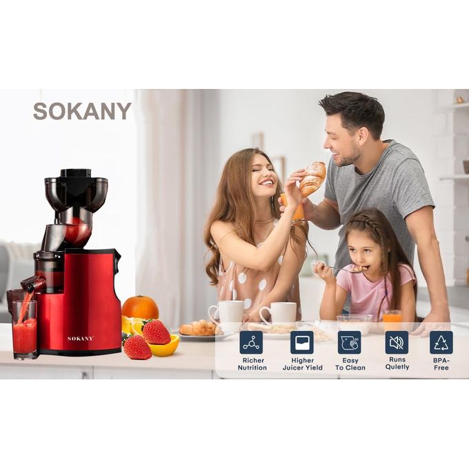 High quality Electric Juicer Fruits Cold Press Squeezer Vegetable Processor Slow Masticating Juicer Machine 300W