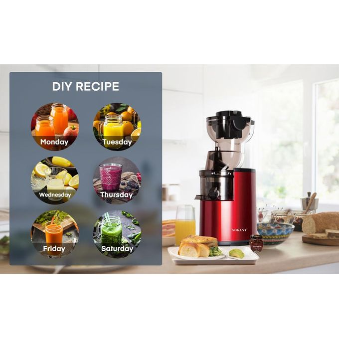 High quality Electric Juicer Fruits Cold Press Squeezer Vegetable Processor Slow Masticating Juicer Machine 300W